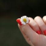 A close-up of a red manicured hand holding a small daisy flower. Vibrant and fresh.
